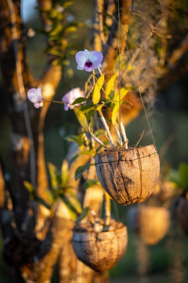 Resort Maison De Nongkhiaw Dış mekan fotoğraf